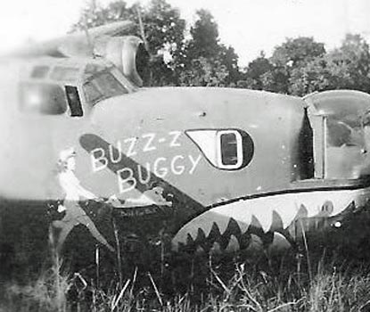 reely lizard buzz buggy